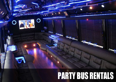 party bus St Pete Beach