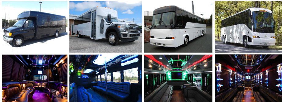 party bus rental St Petersburg