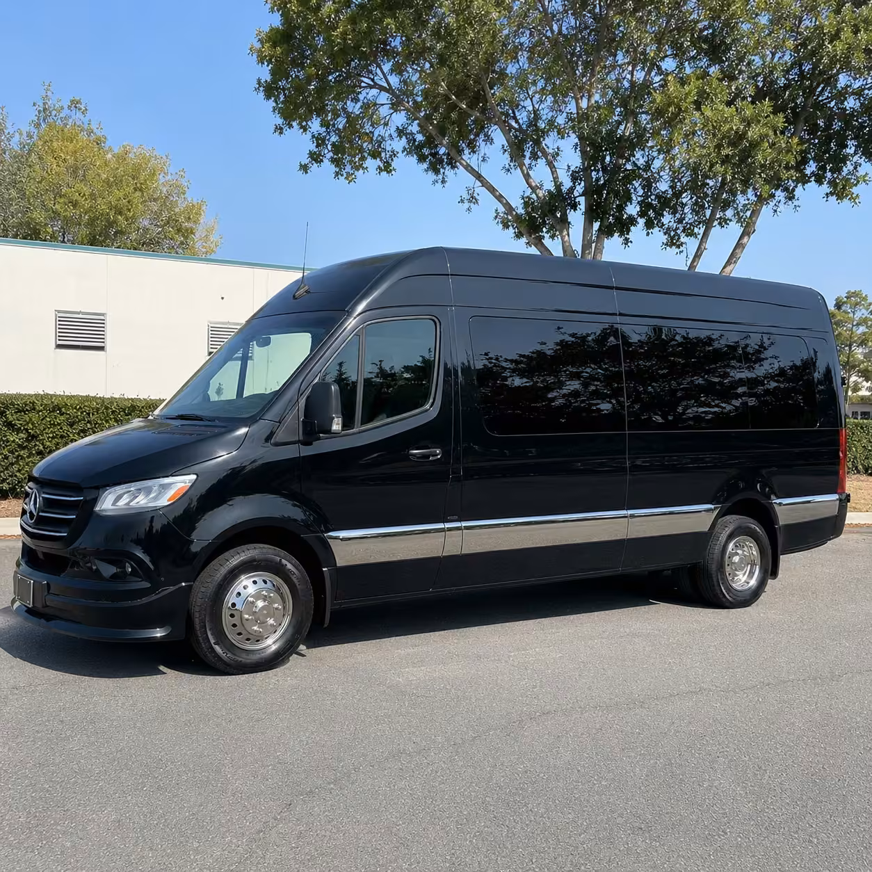 14 passenger sprinter limousine