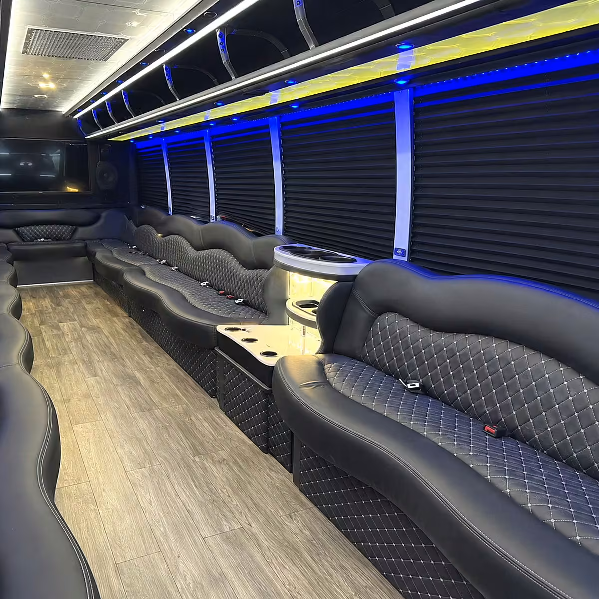 30 passenger party bus interior