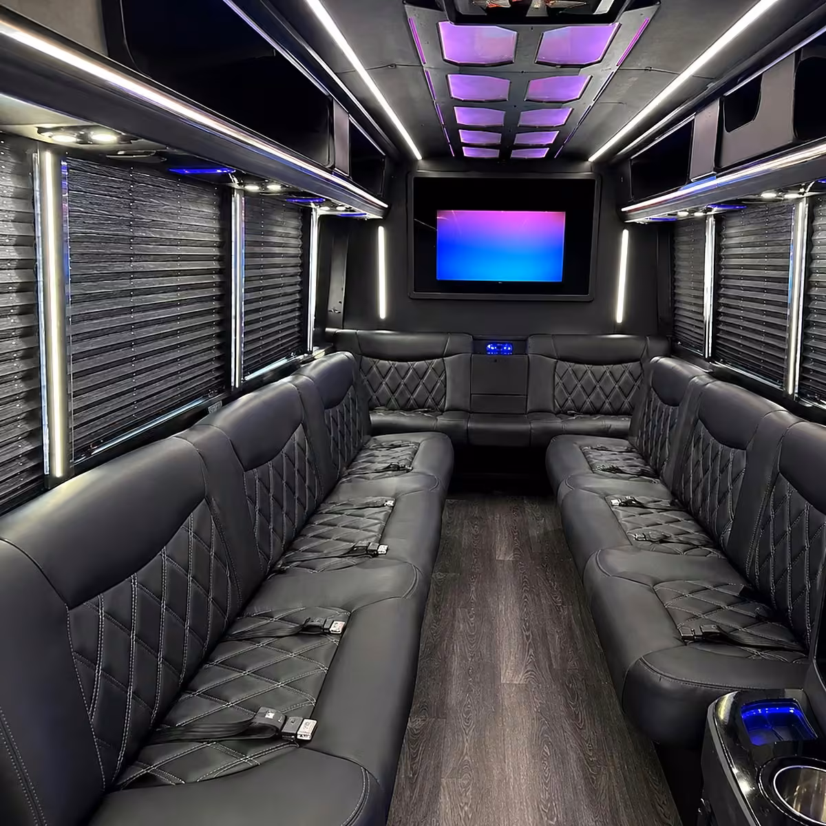40 passenger party bus interior