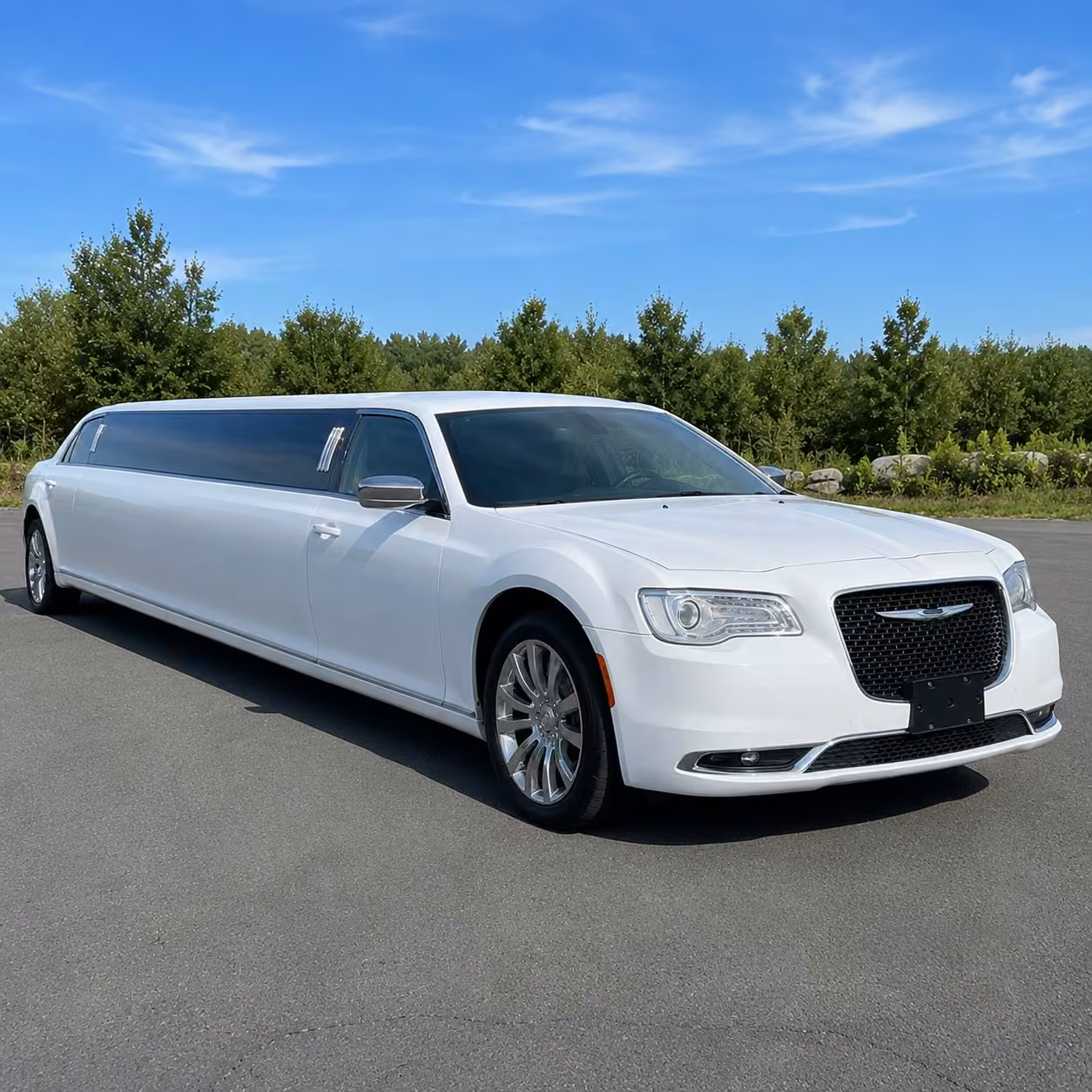 st petersburg limousine exterior